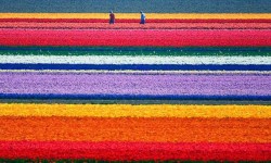 22 lugares que no vas a creer que realmente existen lugares increibles