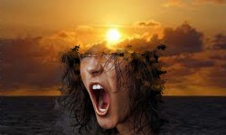 LA LEY DEL EFECTO INVERSO Enfado