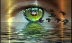 La conexión entre la belleza interior y la exterior La observación