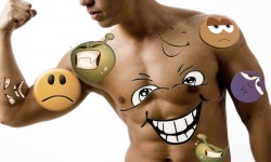 Los órganos del cuerpo y su relación con las emociones Órganos vitales
