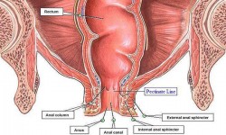 Causas emocionales del Ano