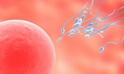 Causas emocionales de la Esterilidad Causas emocionales de la esterilidad