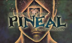 Los secretos de la glándula pineal y cómo estimularla