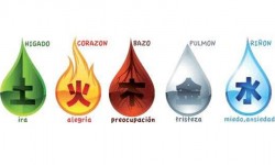 Efectos de las emociones y pensamientos negativos en nuestro cuerpo Efectos de los pensamientos negativos en nuestro cuerpo