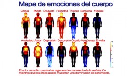 Cómo se instalan los conflictos Emocionales y Mentales en tu Cuerpo Conflictos emocionales y mentales en el cuerpo