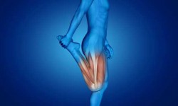 Causas Emocionales de las Piernas Causas Emocionales de las Piernas