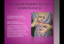 Mudras : El arte de sanar con las manos