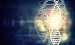 La Inteligencia del Corazón y la Respiración activa corazón inteligente