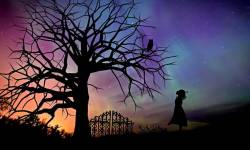 La Sincronicidad: 7 Formas de interpretarla y manifestarla
