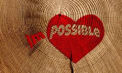 Creencias Limitadas : Dando forma a tu Realidad creencias limitadas