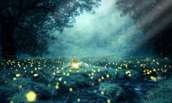 Señales de que un Ser querido fallecido está contigo ser querido fallecido