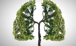 Limpieza pulmonar, 10 Modos de desintoxicar tus pulmones Limpieza pulmonar