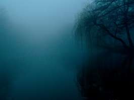 Un árbol y un lago simbología de la parte oscura en la curación espiritual