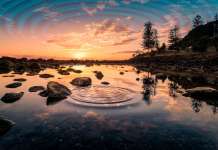 La Resonancia Schumann y el latir de la humanidad