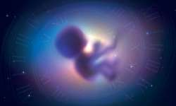 El velo del Olvido y el recuerdo de vidas pasadas El velo del olvido