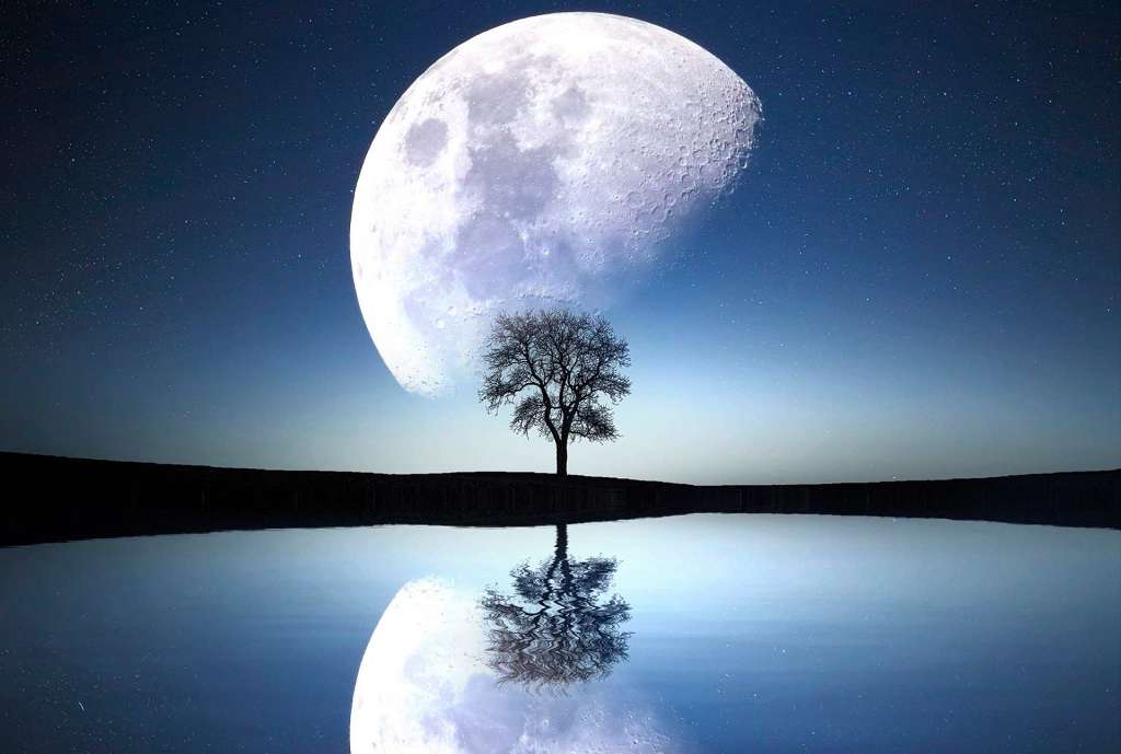 Luna menguante, un arbol y un lago con el reflejo de todos