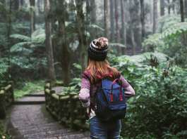 Una mujer andando por un bosque y la interacción con la naturaleza