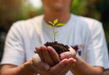 El Planeta Tierra y 15 Maneras de ayudar a salvarlo Persona sujetando una planta y el cambio climático