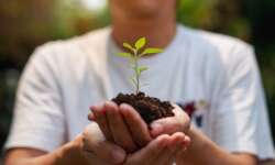 El Planeta Tierra y 15 Maneras de ayudar a salvarlo Persona sujetando una planta y el cambio climático