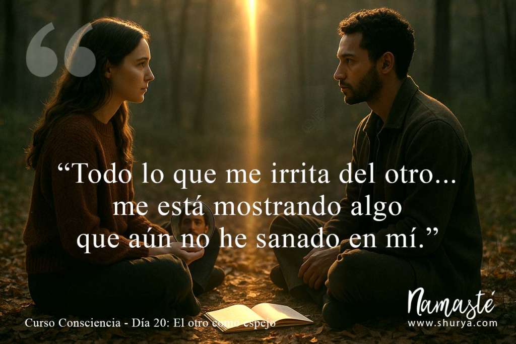 Todo lo que me irrita del otro, me está mostrando algo que aún no he sanado en mí.
